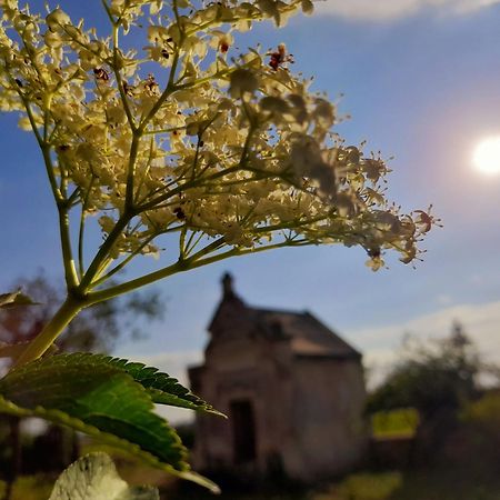 La Galuche Bed & Breakfast Angliers  Bagian luar foto