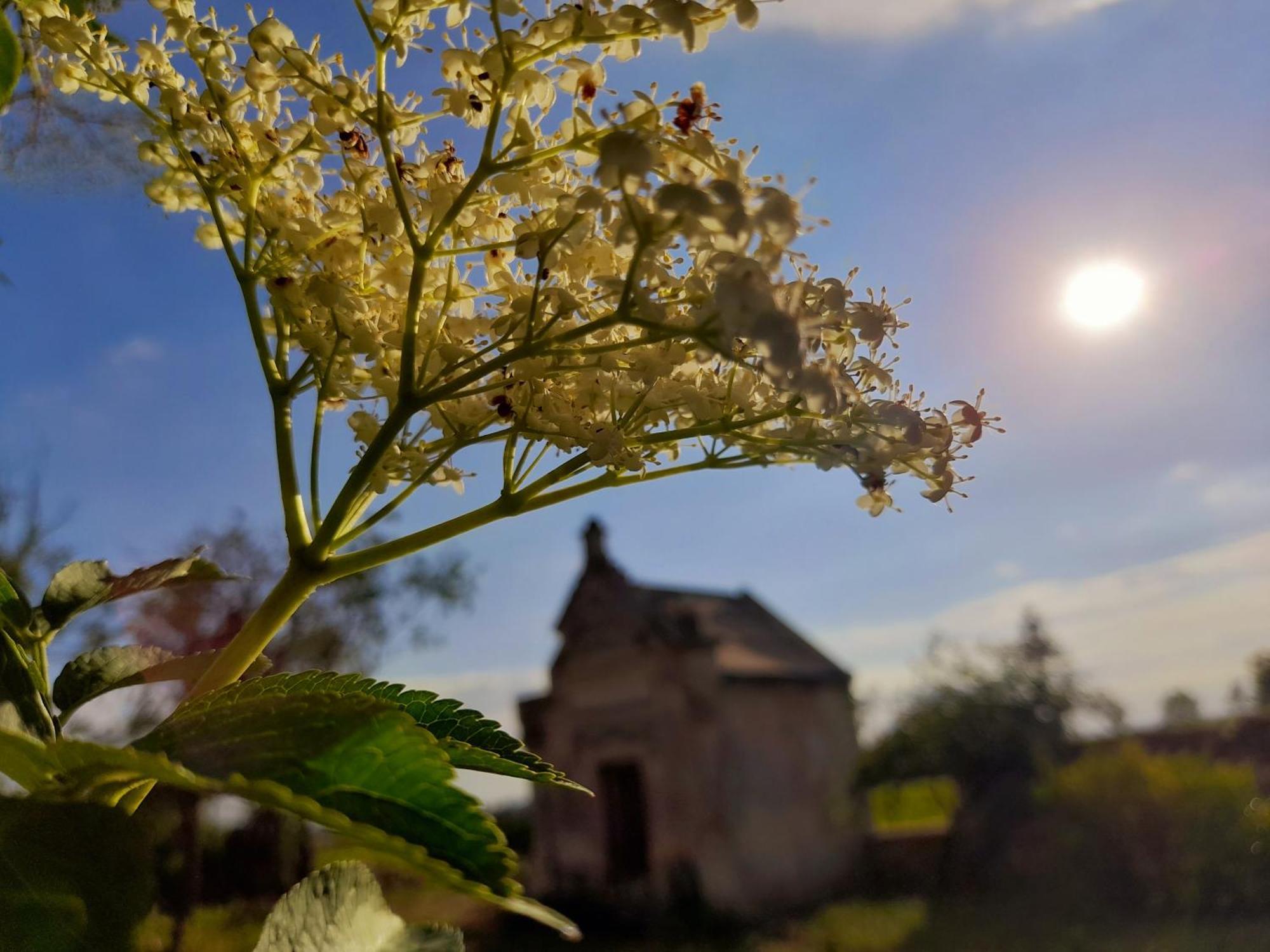 La Galuche Bed & Breakfast Angliers  Bagian luar foto